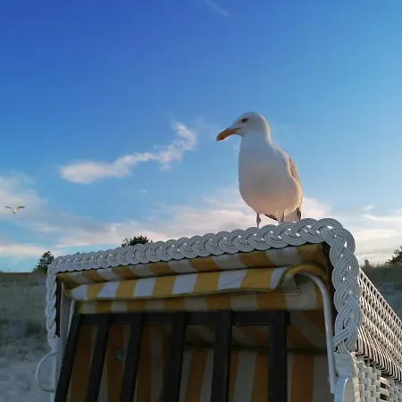 Haus Gorkistrasse B-8