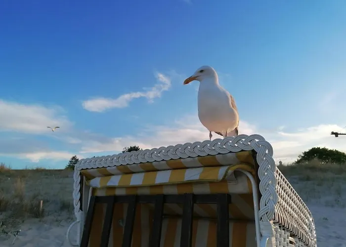 Haus Gorkistrasse B-8